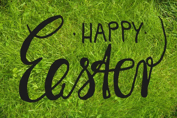 Green Grass Lawn Or Meadow, Calligraphy Happy Easter — Stockfoto