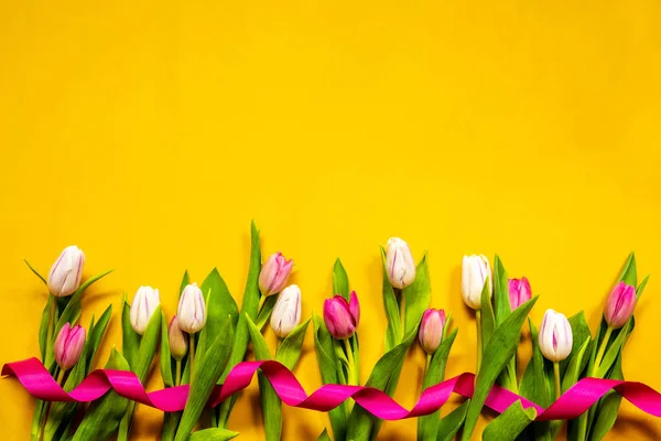 Amarelo e rosa tulipa primavera flores, fita, fundo amarelo — Fotografia de Stock