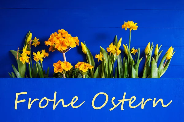 Fleurs de printemps, Tulipe, Narcisse, Texte Frohe Ostern signifie Joyeuses Pâques — Photo