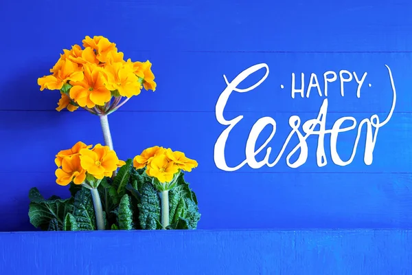 Flores Amarillas de Primavera, Texto Feliz Pascua, Fondo Azul —  Fotos de Stock