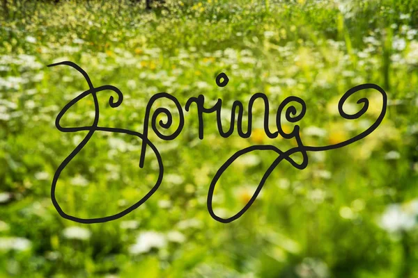 Daisy And Yellow Flower Meadow, Calligraphy Spring — Stockfoto