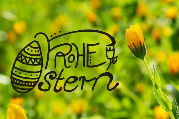 Yellow Spring Flower Meadow, Calligraphy Frohe Ostern Means Happy Easter — стокове фото