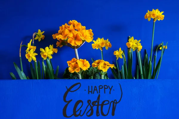 Spring Flowers, Narcissus, Text Happy Easter, Blue Wooden Background — 图库照片