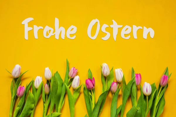 Tulipa colorida, texto Frohe Ostern significa feliz Páscoa, fundo amarelo — Fotografia de Stock