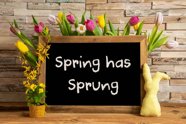 Tulip Flowers, Bunny, Brick Wall, Blackboard, Text Spring Has Sprung — Stok fotoğraf