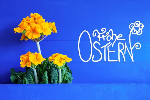 Yellow Spring Flowers, Calligraphy Frohe Ostern Means Happy Easter — Stockfoto