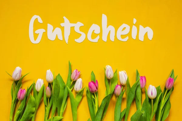 Colorful Tulip, Text Gutschein Means Voucher, Yellow Background — Φωτογραφία Αρχείου