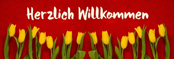Baner De Flores De Tulipán Amarillo, Fondo Rojo, Willkommen Medios Bienvenido —  Fotos de Stock