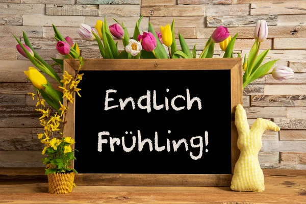 Tulip Flowers, Bunny, Brick Wall, Blackboard, Endlich Fruehling Means Hello Spring — Stockfoto