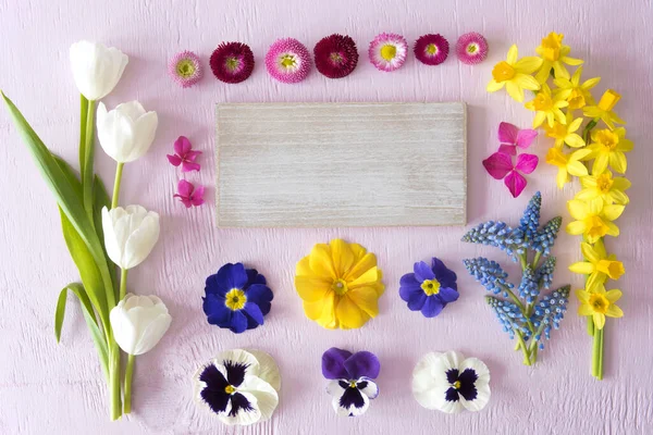 Flat Lay With Spring Flower Blossoms, Sign With Copy Space — Stock Photo, Image