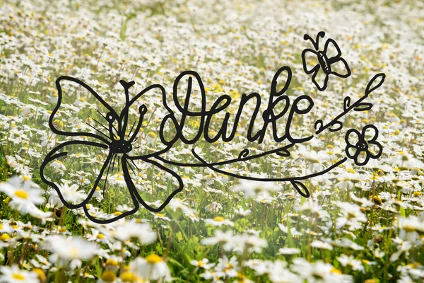 Sunny White Daisy Flower Meadow, Calligraphy Danke Means Thank You — Zdjęcie stockowe