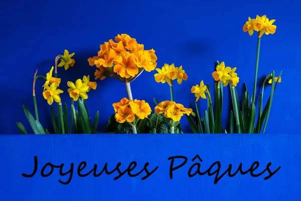Flores de Primavera, Narciso, Texto Joyeuses Paques significa Feliz Pascua — Foto de Stock