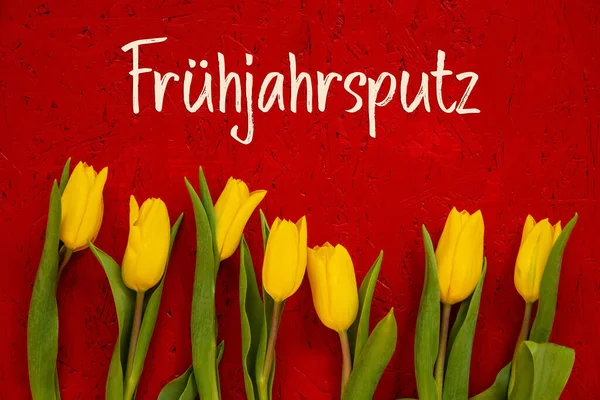 Yellow Tulip Flowers, Red Background, Fruehjahrsputz Means Spring Cleaning — Stockfoto