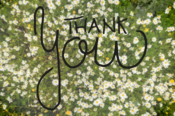 Vista superior de Daisy Flower Meadow, Caligrafía Gracias —  Fotos de Stock