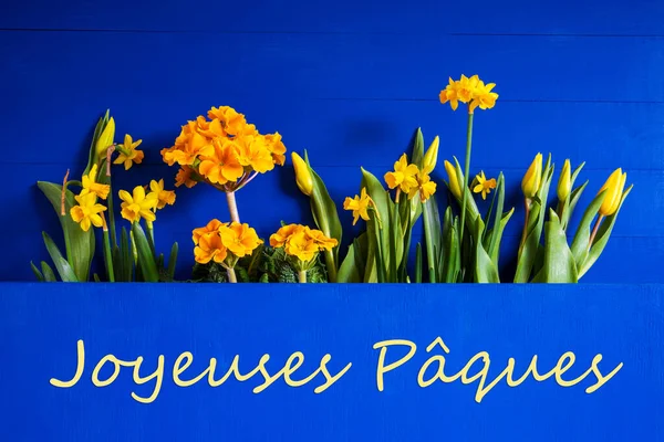 Flores de Primavera, Tulipán, Narciso, Texto Joyeuses Paques Significa Feliz Pascua — Foto de Stock