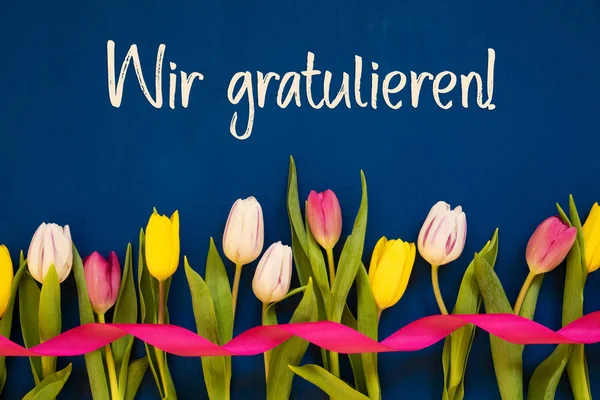 Colorful Tulip, Wir Gratulieren Means Congratulations, Ribbon, Blue Background — Stockfoto