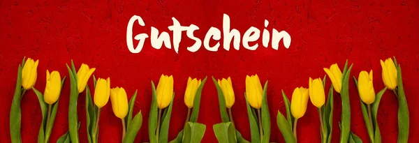Baner Of Yellow Tulip Flowers, Fondo rojo, Gutschein significa cupón —  Fotos de Stock