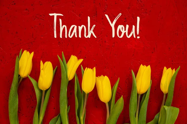 Yellow Tulip Flowers, Red Background, Text Thank You — Stock Photo, Image
