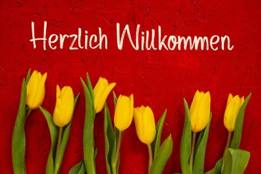 Sarı Lale Çiçekleri, Kızıl Arkaplan, Yazı Willkommen Hoş Geldiniz