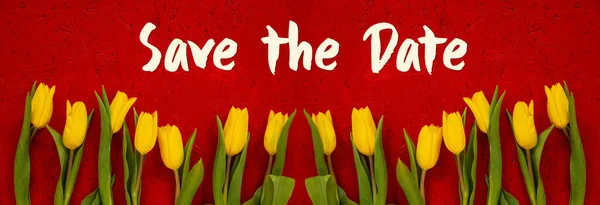 Baner Of Yellow Tulip Flowers, Red Background, Teks Simpan Tanggal — Stok Foto