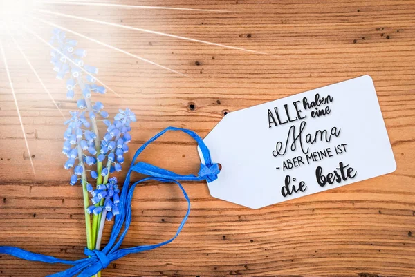 Zonnige Hyacint Bloem, Label, Kalligrafie Beste Mama betekent Beste Moeder — Stockfoto