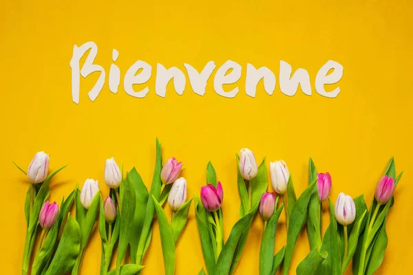 Kolorowe tulipan, Tekst Bienvenue oznacza Witamy, Żółte tło — Zdjęcie stockowe