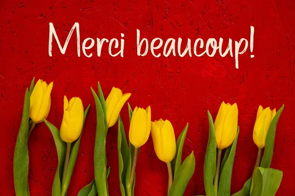 Flores amarelas da tulipa, fundo vermelho, texto Merci significa obrigado — Fotografia de Stock