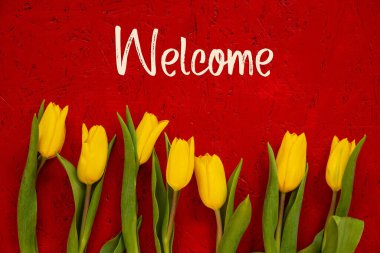 Sarı Lale Çiçekleri, Kırmızı Arkaplan, Metin Hoşgeldiniz