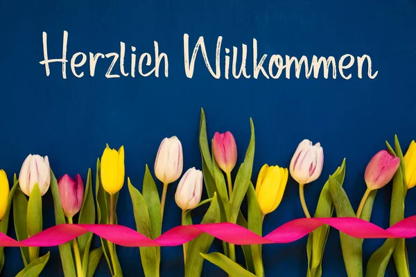 Bunte Tulpe, Herzlich Willkommen bedeutet Willkommen, Schleife, blauer Hintergrund — Stockfoto