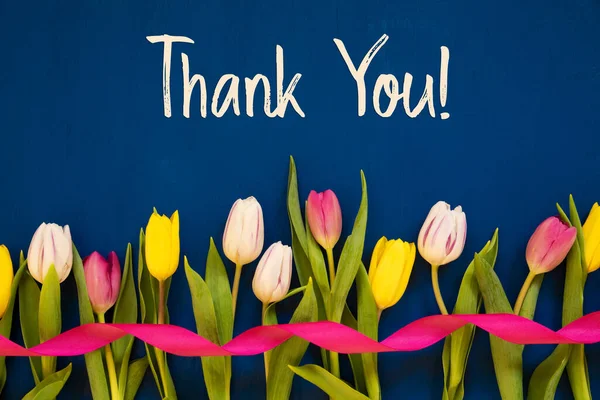 Kolorowy tulipan, Tekst Dziękuję, Wstążka, Niebieskie tło — Zdjęcie stockowe