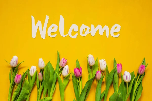 Tulipán colorido, Flores de Primavera, Texto Bienvenido, Fondo Amarillo — Foto de Stock