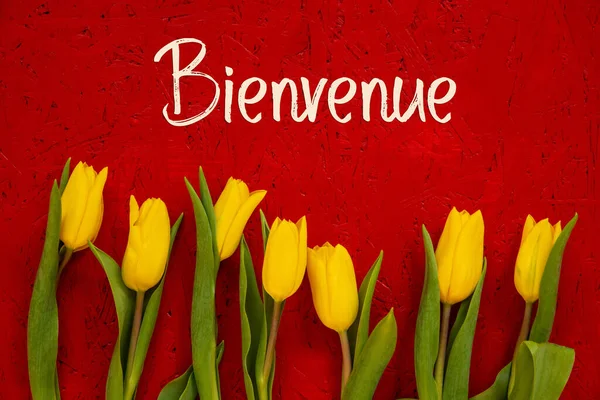 Flores de Tulipán Amarillas, Fondo Rojo, Texto Bienvenue significa Bienvenido — Foto de Stock