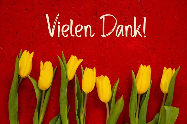 Yellow Tulip Flowers, Red Background, Text Vielen Dank Means Thank You — Stok fotoğraf