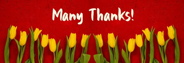 Sarı Lale Çiçeklerinin Sancağı, Kırmızı Arkaplan, Mesaj Çok Teşekkürler — Stok fotoğraf