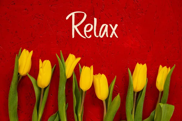 Žluté tulipánové květiny, červené pozadí, Text Relax — Stock fotografie
