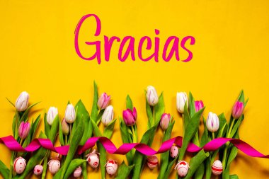 Renkli Lale, Gracias Teşekkür Ederim, Paskalya Yumurtası, Sarı Arkaplan