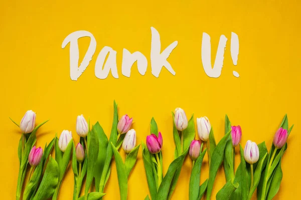 Tulipán colorido, Texto Dank U significa Gracias, Fondo Amarillo —  Fotos de Stock