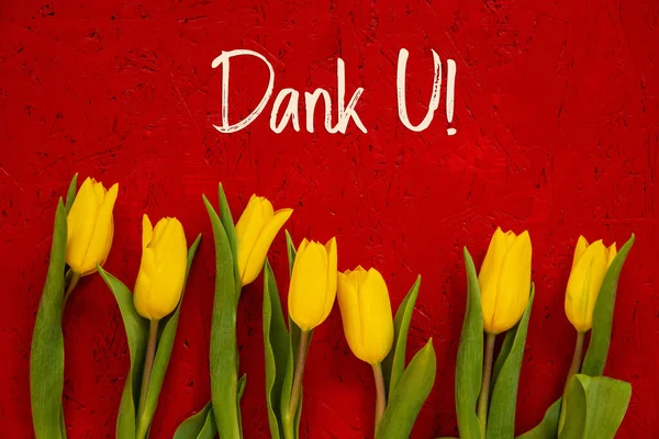 Gelbe Tulpenblumen, roter Hintergrund, Text Danke U bedeutet Danke — Stockfoto