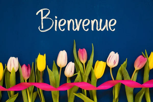 Kolorowe tulipan, Bienvenue oznacza powitanie, wstążka, niebieskie tło — Zdjęcie stockowe