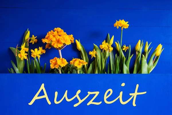 Flores de Primavera, Tulipán, Narciso, Texto Auszeit significa tiempo de inactividad — Foto de Stock