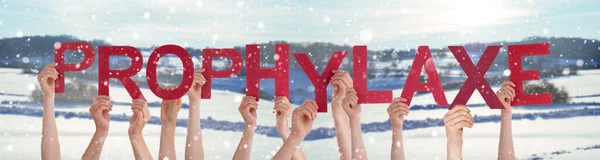 人々の手がワードProphylaxを保持することはProphylaxis 、雪の冬の背景を意味します — ストック写真