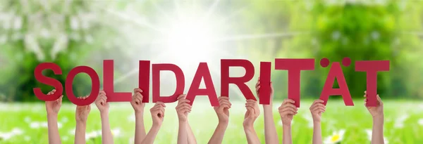 Mensen Handen vasthouden Woord Solidaritaet betekent solidariteit, grasweide — Stockfoto