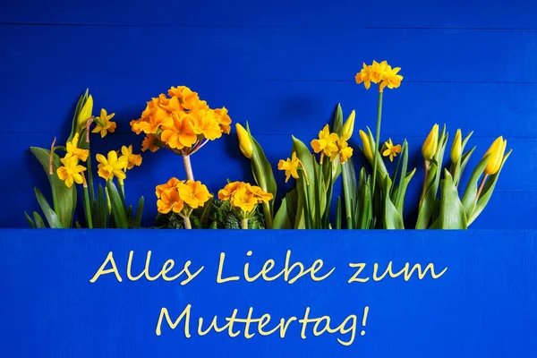 Spring Flowers, Tulip, Narcissus, Text Muttertag Means Happy Mothers Day — Stock Photo, Image