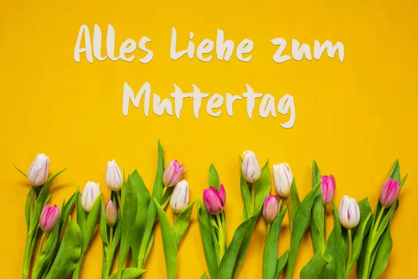 郁金香，Alles Liebe Zum Muttertag意为"母亲节快乐"，黄色背景 — 图库照片