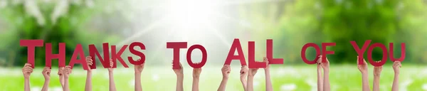 People Hands Holding Word Thanks To All Of You, Grass Meadow — Stock Photo, Image