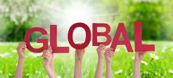 People Hands Holding Word Global, Grass Meadow — Stock Photo, Image