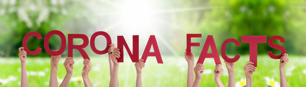 People Hands Holding Word Corona Facts, Grass Meadow