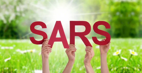 Ludzie Ręce trzymające Word SARS, łąka trawy — Zdjęcie stockowe