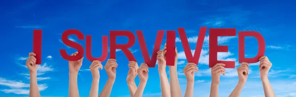 People Hands Holding Word I Survived, Blue Sky — Stock Photo, Image