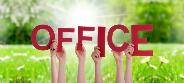 People Hands holding Word Office, Grass Meadow — Stock fotografie